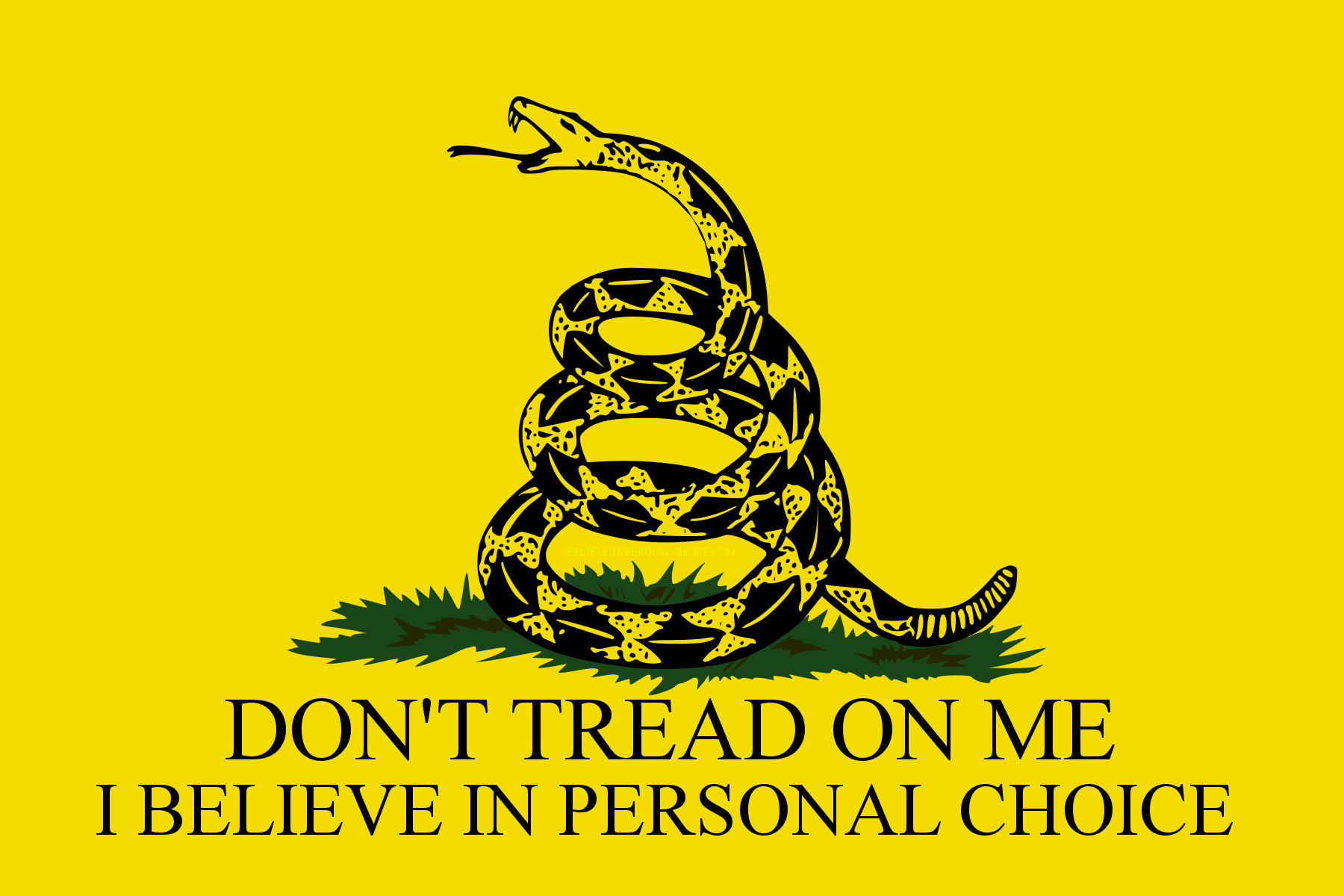 Gadsden Flag for Personal Choice